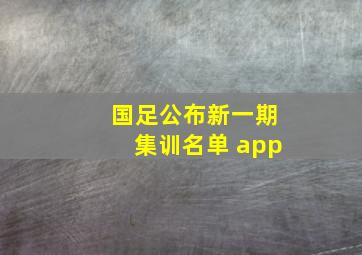 国足公布新一期集训名单 app